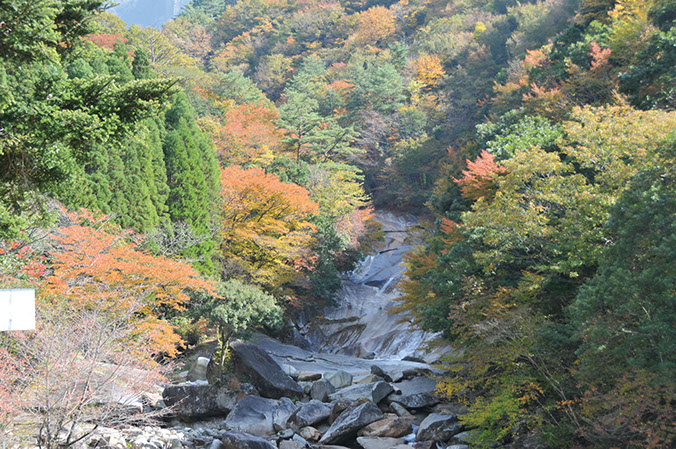 延岡生まれの 和草ハンドクリーム